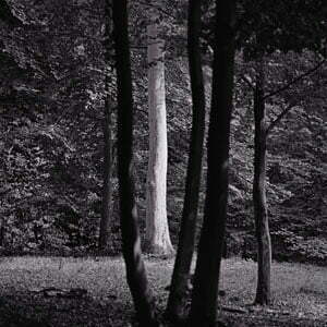 Robin Gillanders Image