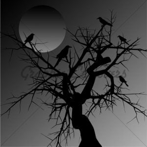 poster image (1)
