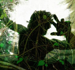aya-awakenings_banner-web1