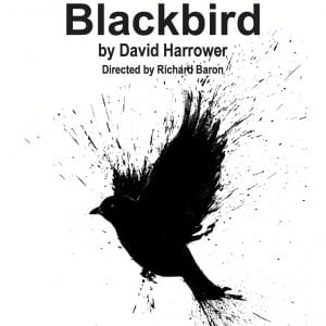 Blackbird