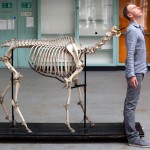 Ewen Bremner inspects the Dissection Room Bar