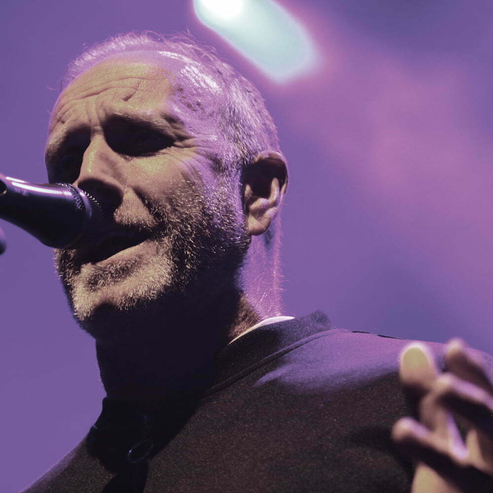 The Skids